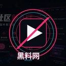 黑料网品牌Logo